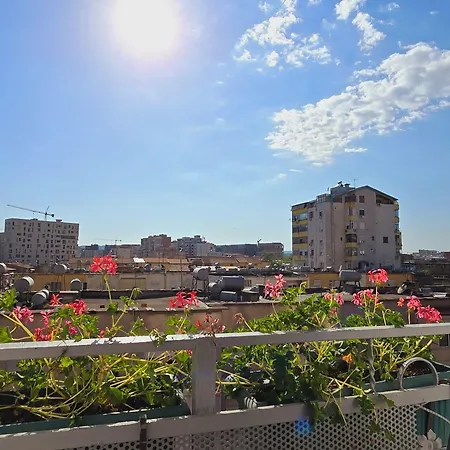 Arkle 2 * Tirana