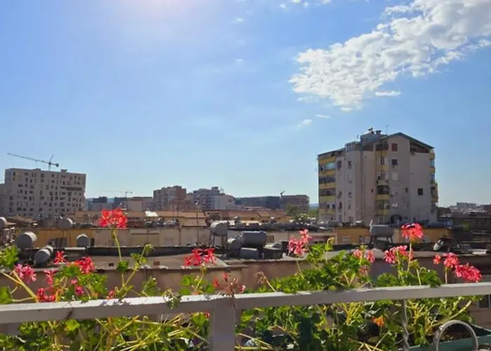 Arkle 2 Τίρανα